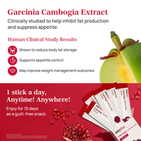 JellyGut™ Korean Jelly